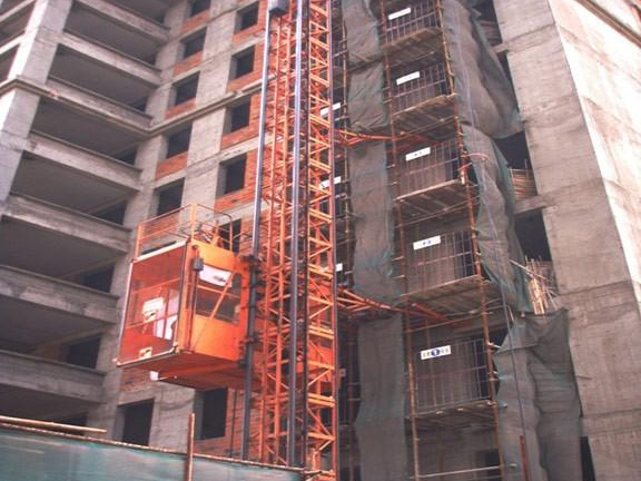 �����C�е���|ԓ��α��o��